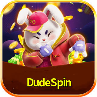DudeSpin logo